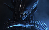 Alien_xenomorph_02