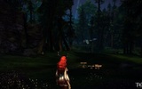 Tera_screenshot_20110123_173528